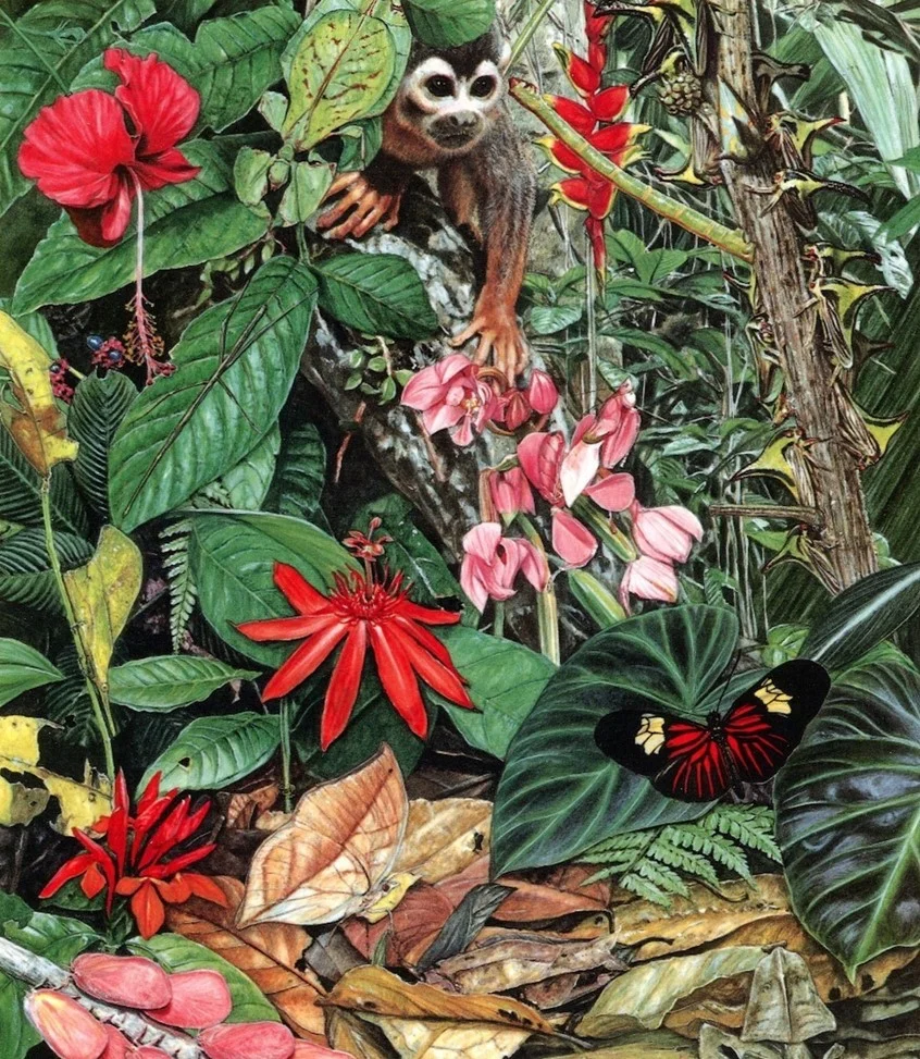 Artist feature: Adam Hook, Directory of Illustration