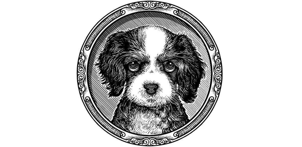 Summerall Law Logomark Work Showcase Steven Noble, Directory of illustration