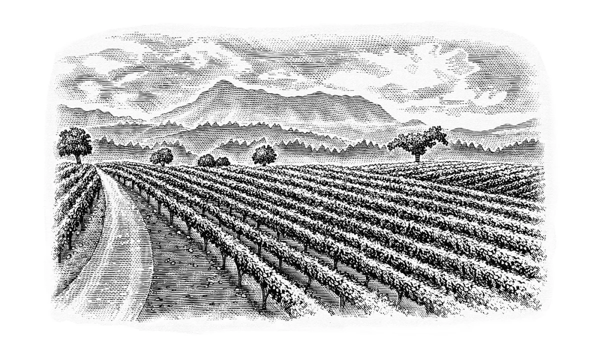 Rodney Strong Wine Labels Work Showcase Steven Noble, Directory of illustration