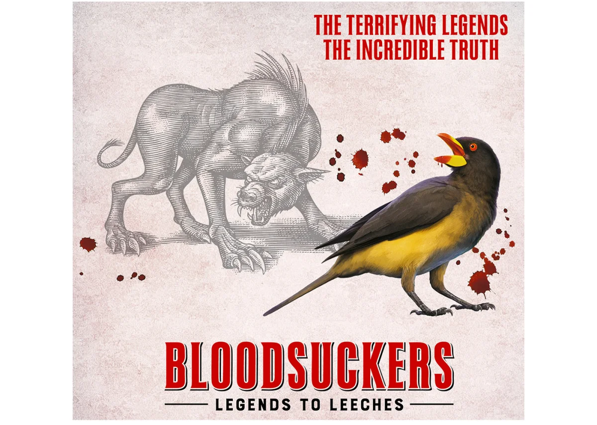 Bloodsuckers Posters Work Showcase Steven Noble, Directory of illustration