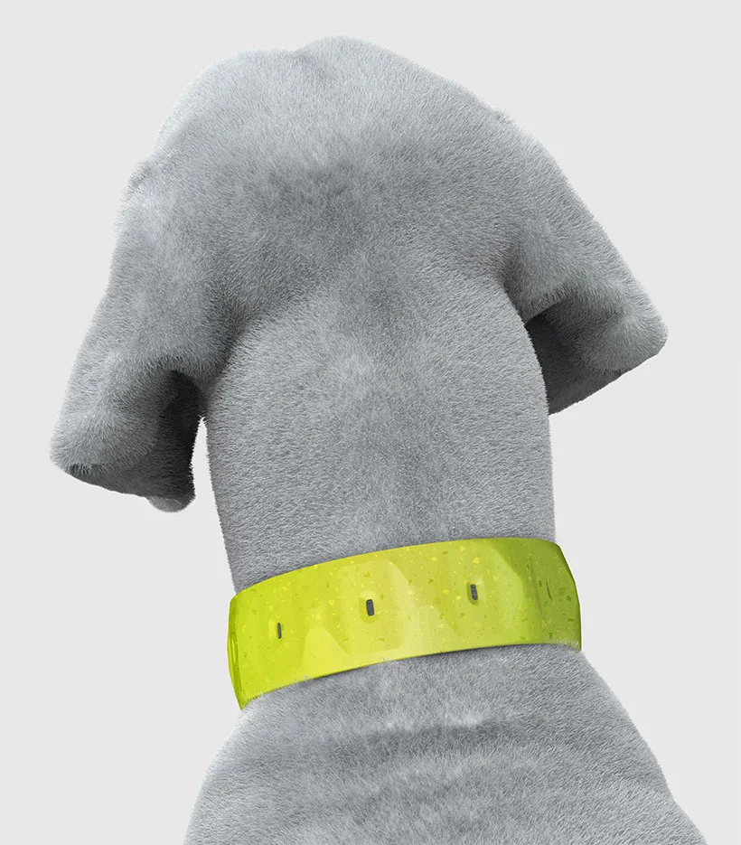 Dog Collar Design for EzyDog by Alberto Vasquez