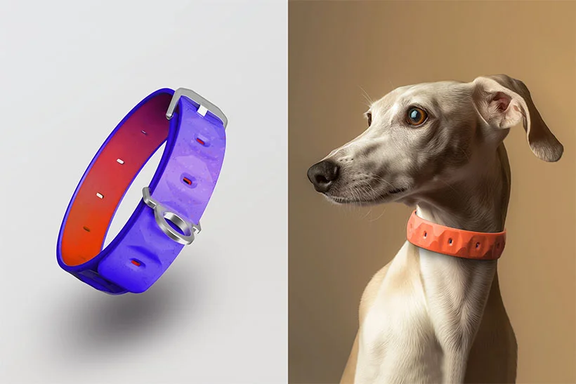 Dog Collar Design for EzyDog by Alberto Vasquez