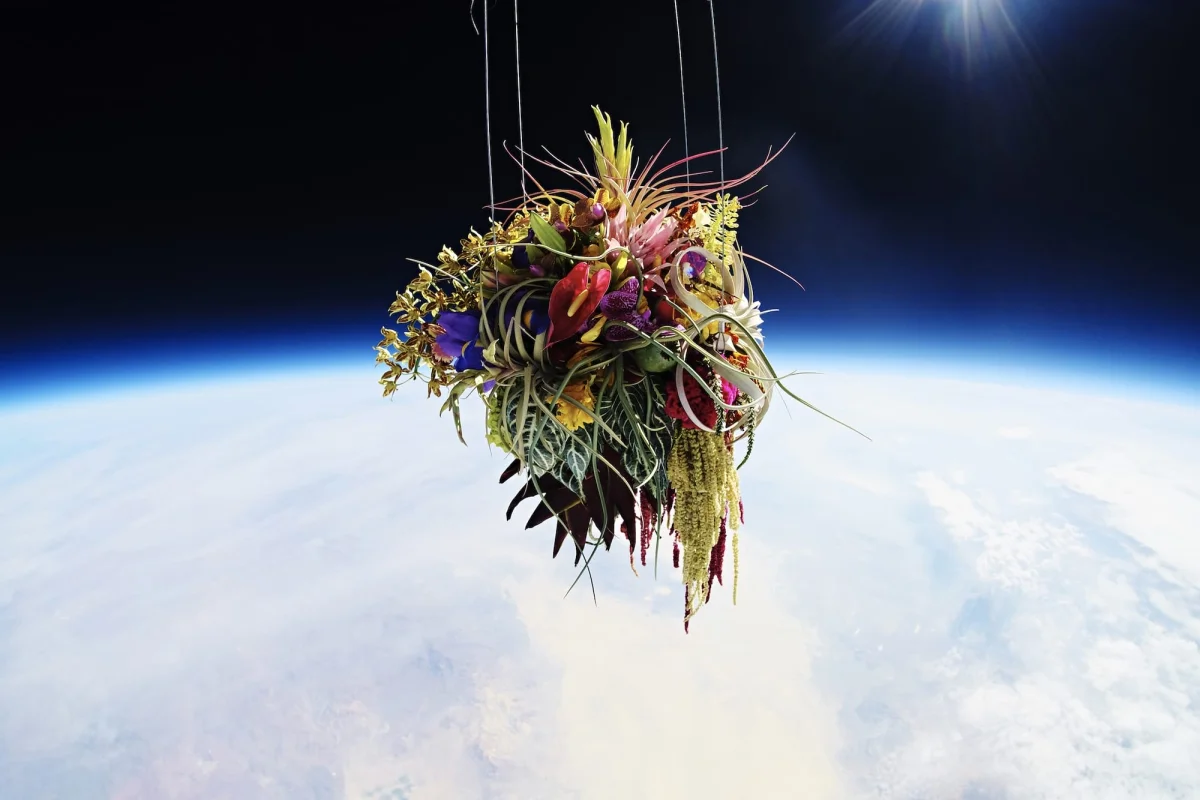 Flowers appear to float in space with the blurred outline of Earth behind them