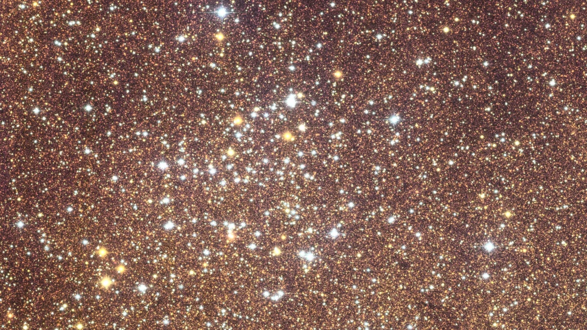 a tight view of a very detailed photograph of the bulge in the center of the Milky Way galaxy showing a star cluster