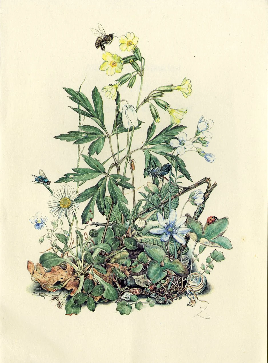 Gudren and Hermann Zapf