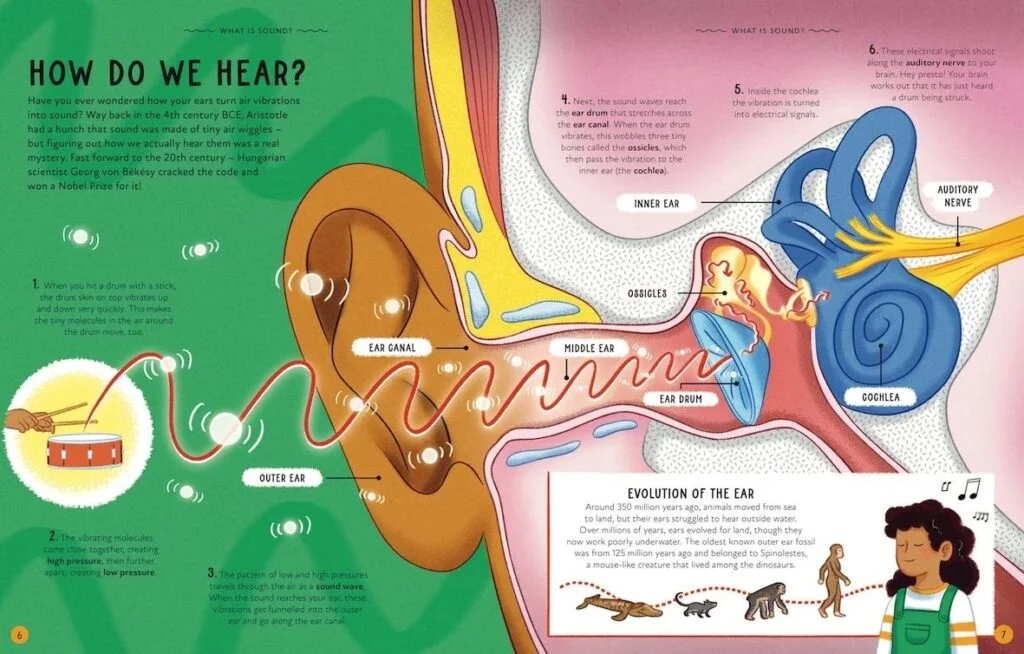 A-Symphony-of-Sound_UK_How+do+we+hear